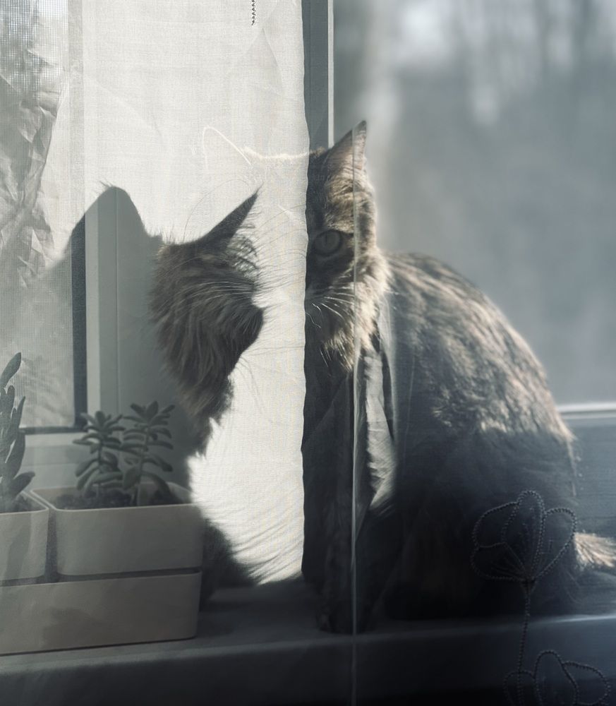 Photograph by Куликова Ирина