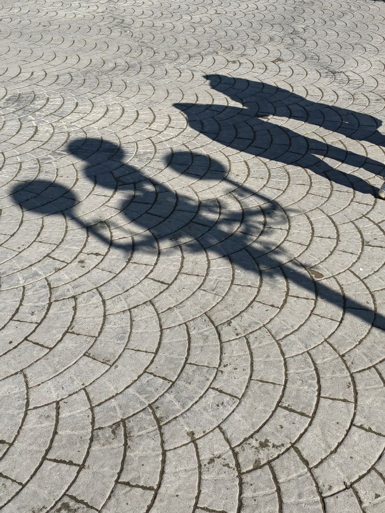 Photograph by Алёна С-К