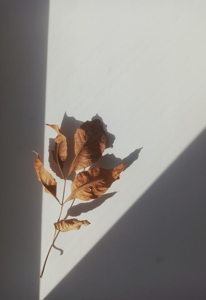 Photograph by АЛЛА ТАРАСЕНКО