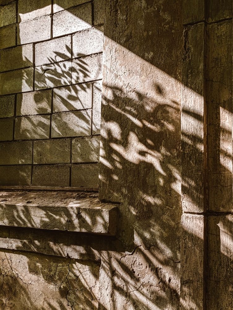 Photograph by Татьяна Иванеева