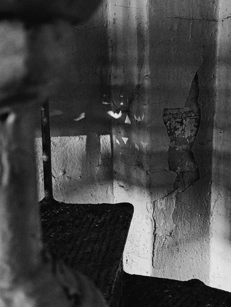 Photograph by Татьяна Иванеева