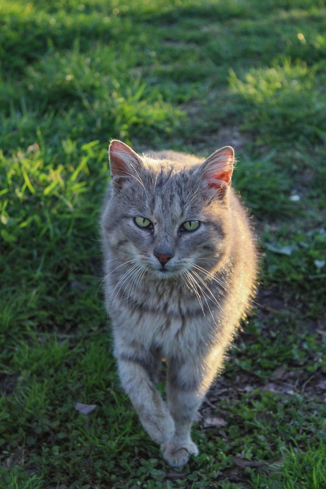 Photograph by Артём Никулинский