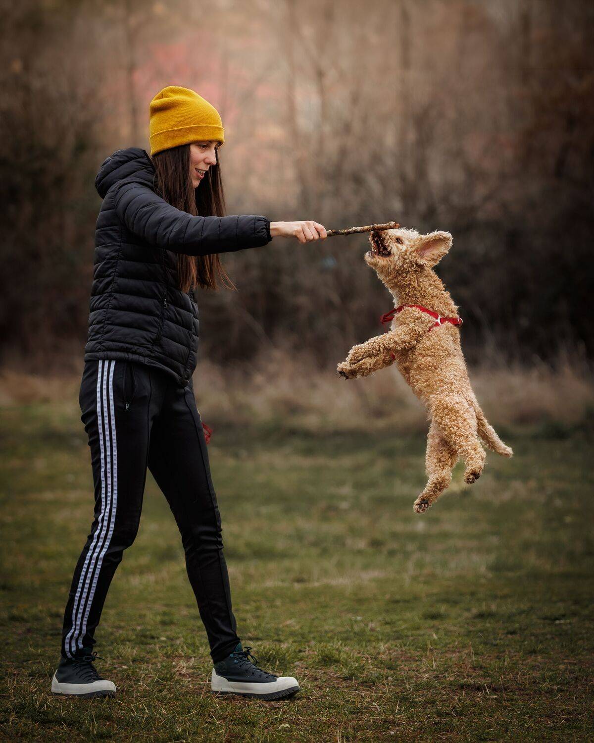 Photo #13476375