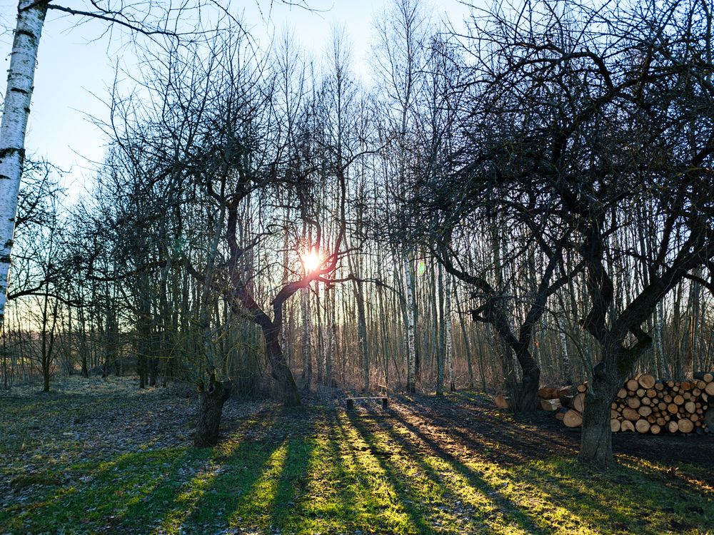 Photograph by Alexandr Gorelenkov