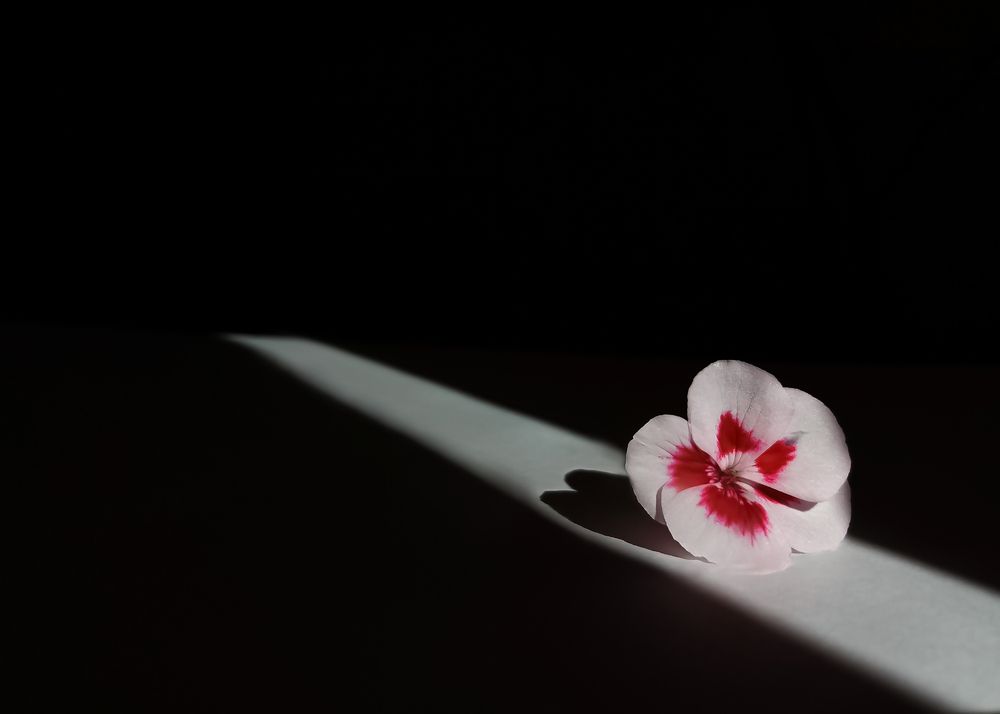 Photograph by Екатерина Зязина