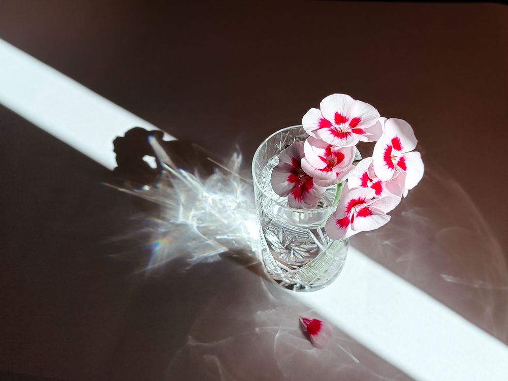 Photograph by Екатерина Зязина