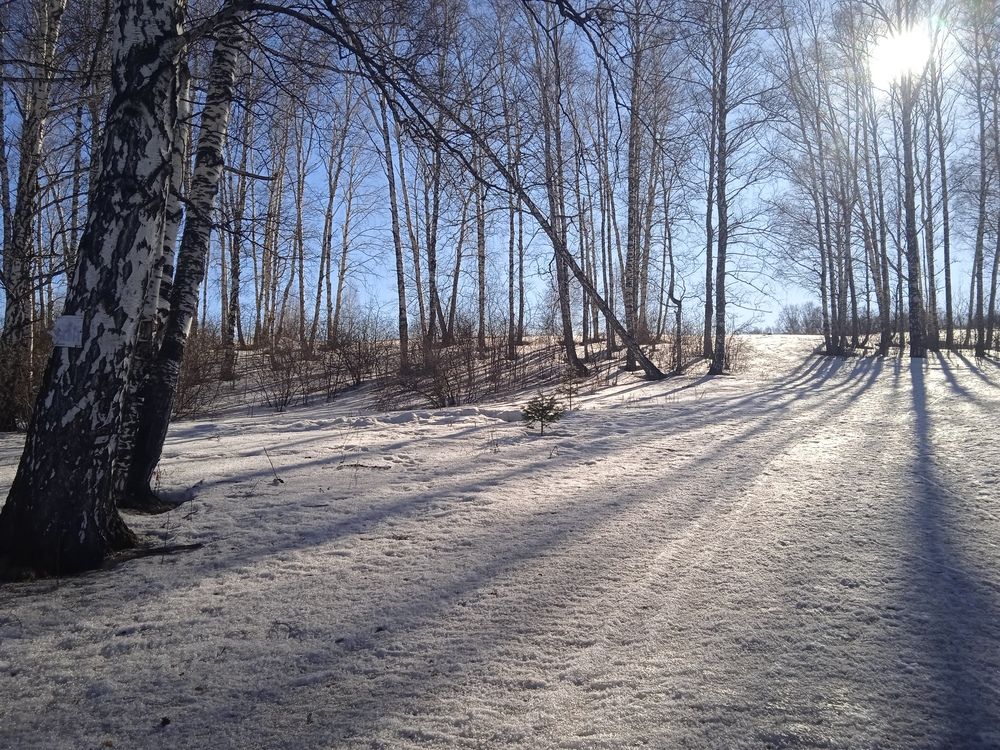 Photograph by Наталья Сорокина