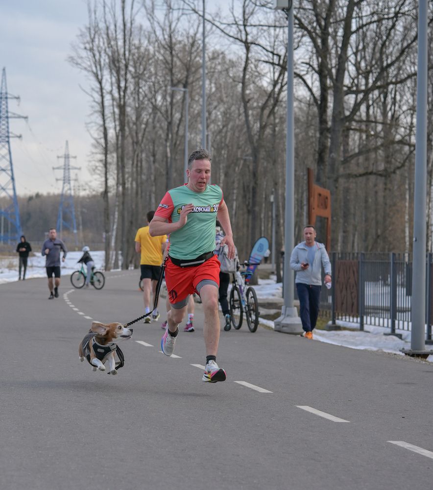 Photo #13476612