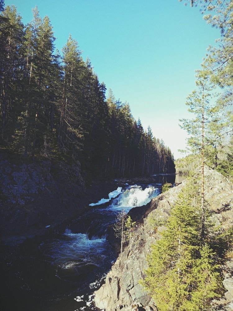 Photo #13476658