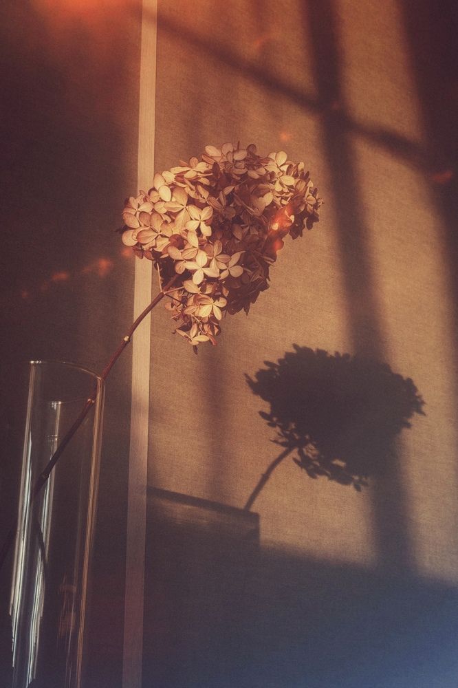 Photograph by Ольга Стебенева