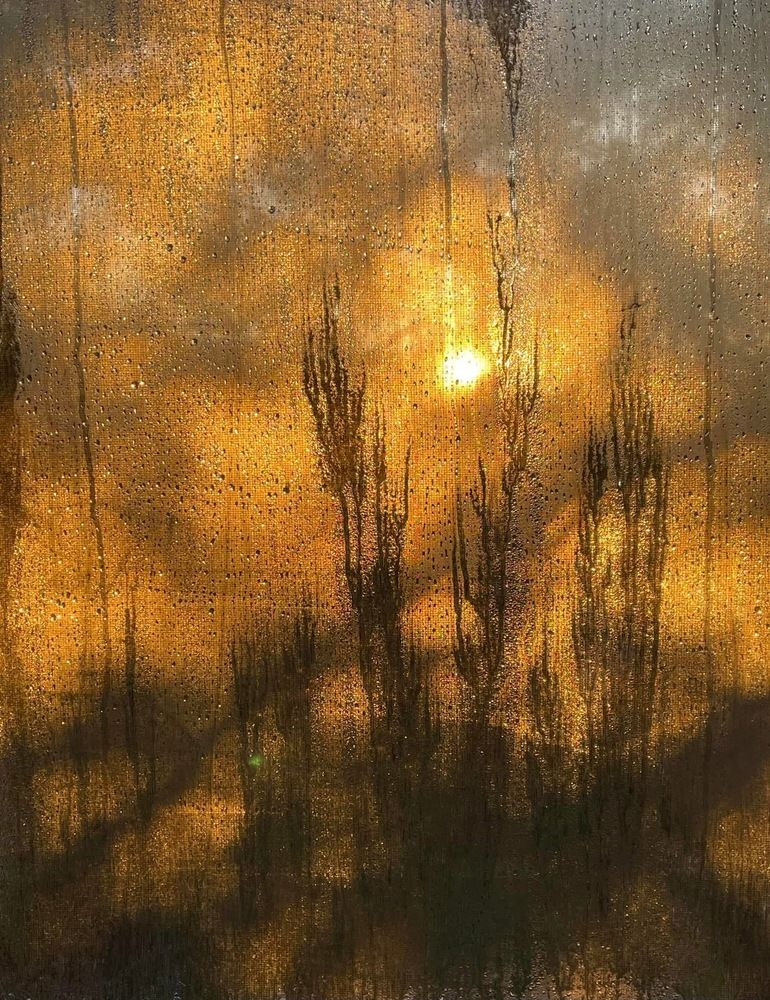 Photograph by Olga Andriuc