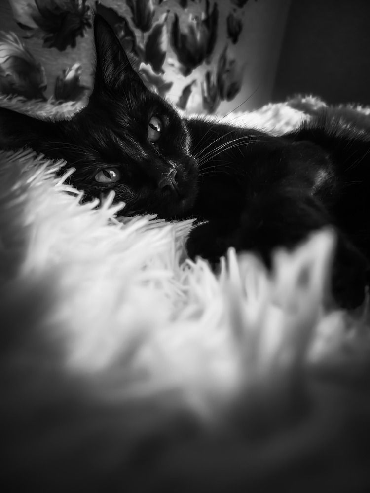 Photograph by Юлия Реутова