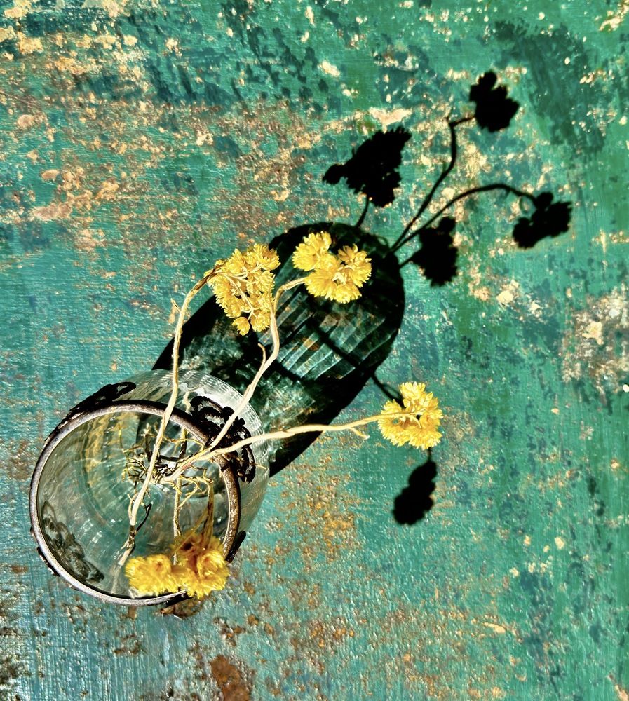 Photograph by Marina Odintsova