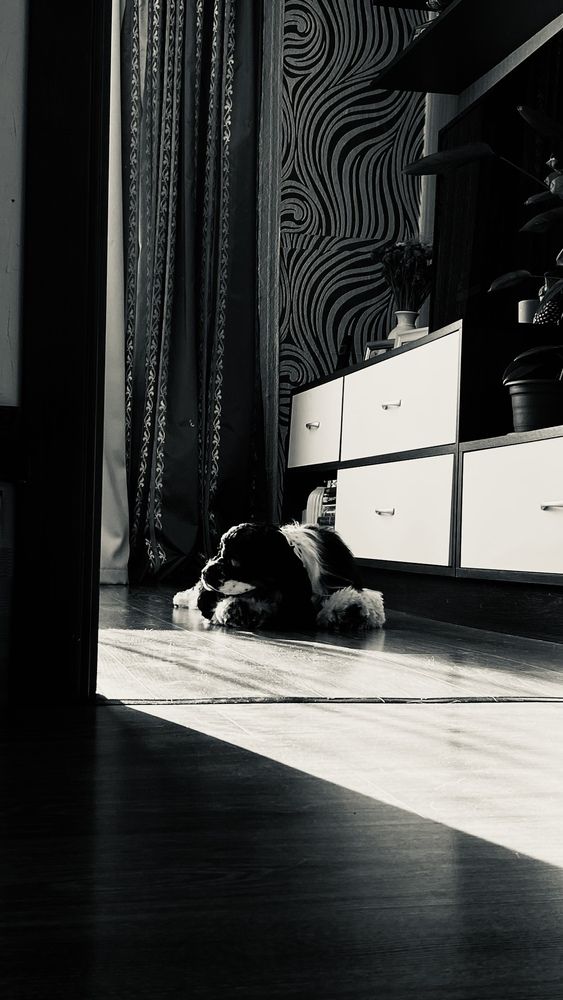 Photograph by Анна Кулакова