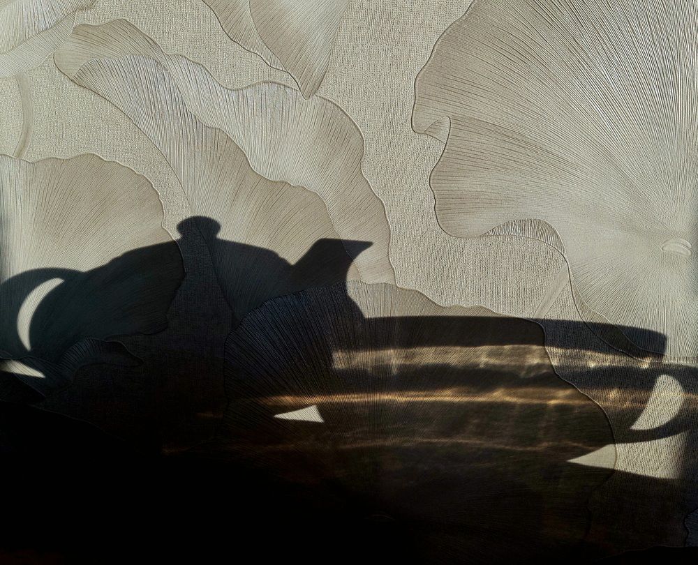 Фотография автора Elvira Oleinik