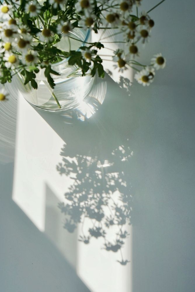 Photograph by Оксана
