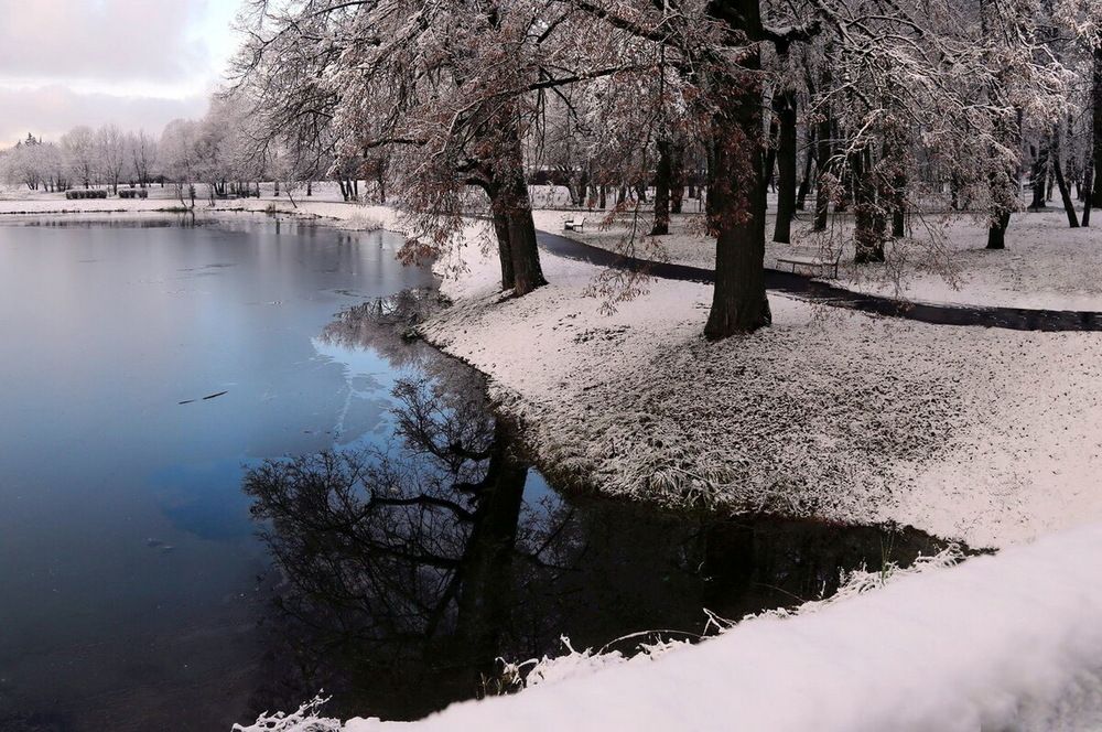 Ноябрьское оражение