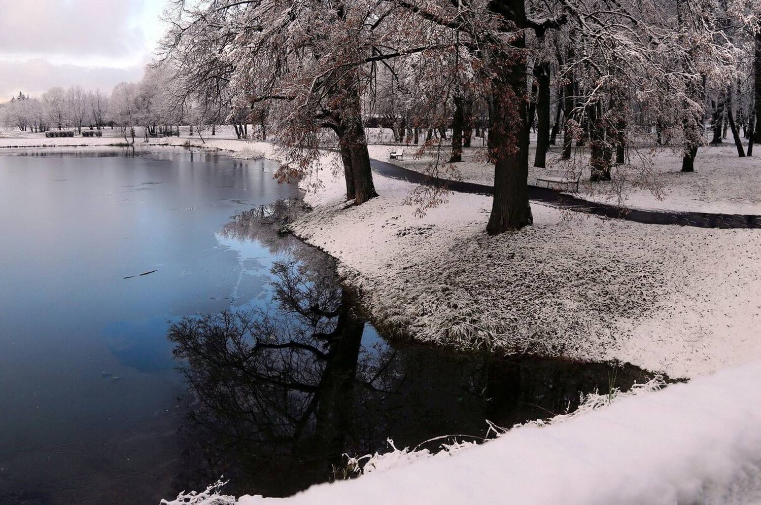 Ноябрьское оражение