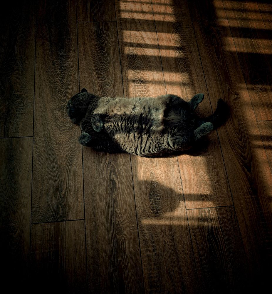Photograph by Ирина Григорьевна