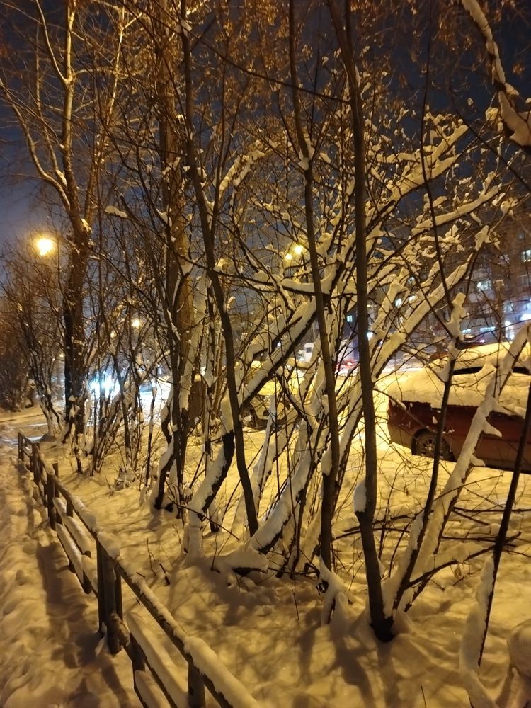 Photograph by Наталия