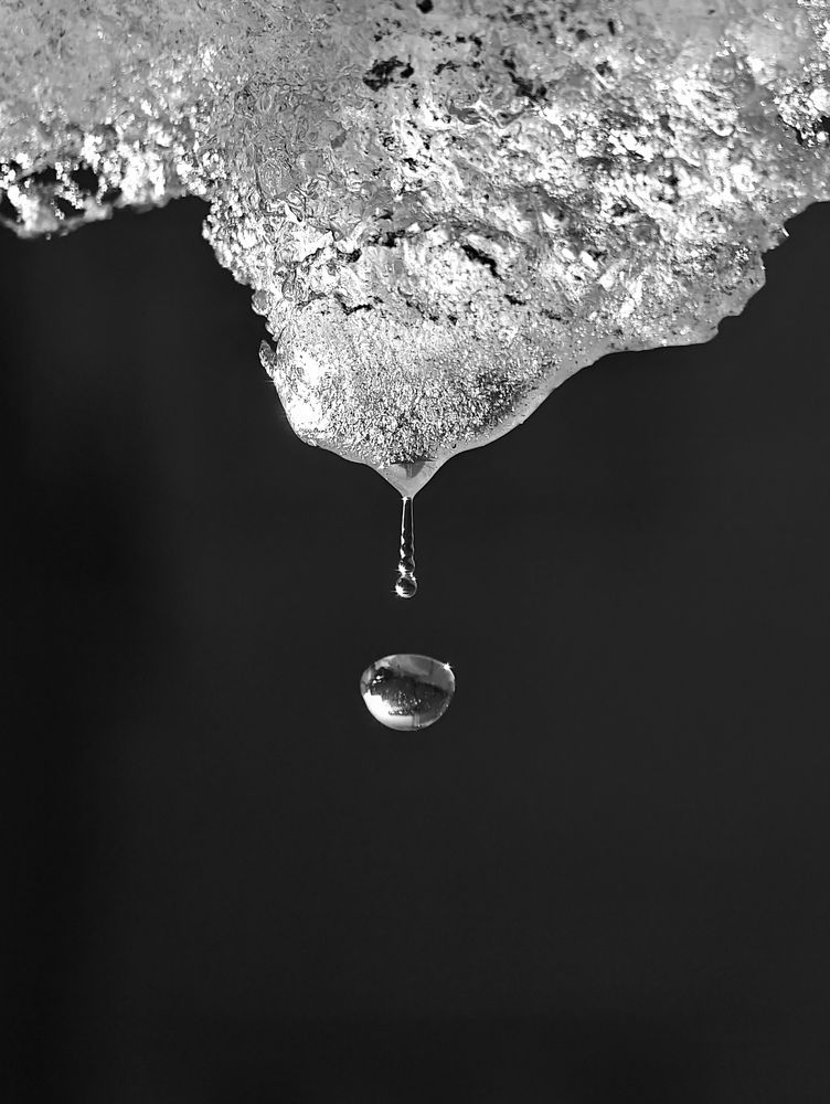 Photograph by Сергей Степаненко