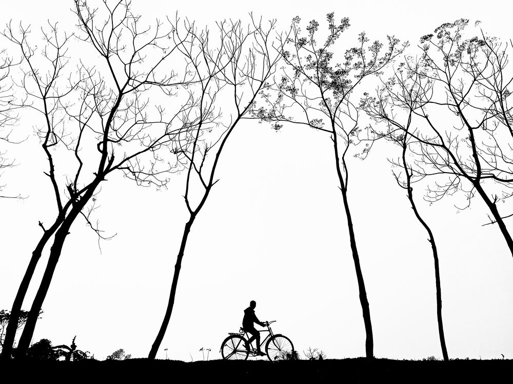 A journey through stillness.