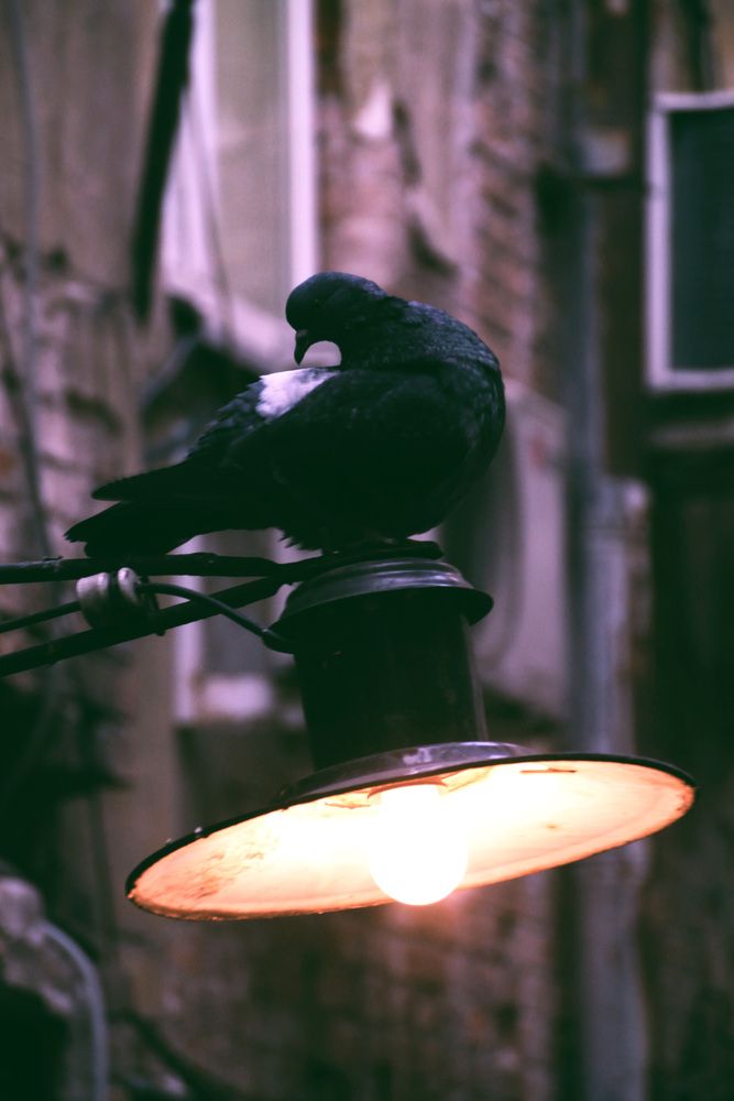 Photograph by Mark Litvak