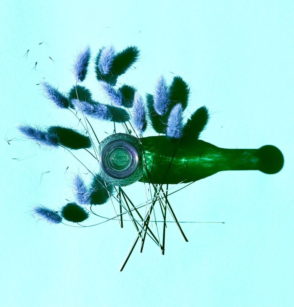 Photograph by Гуляева Светлана