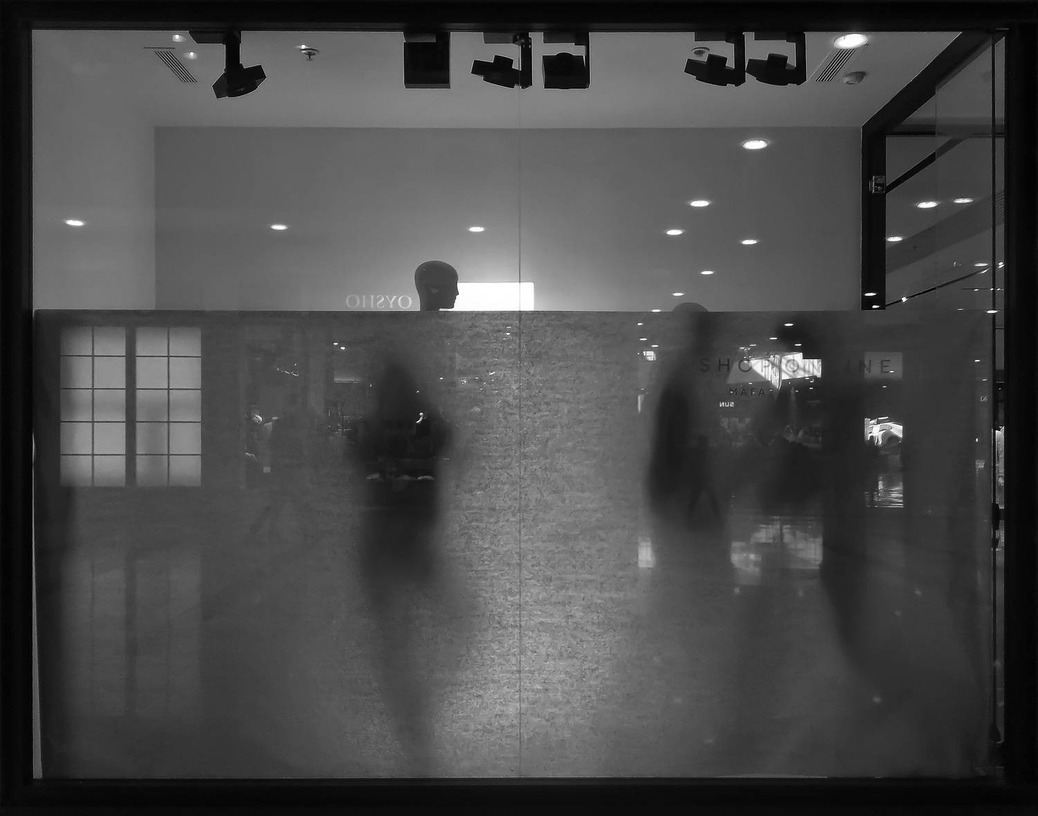 Фотография #13477344