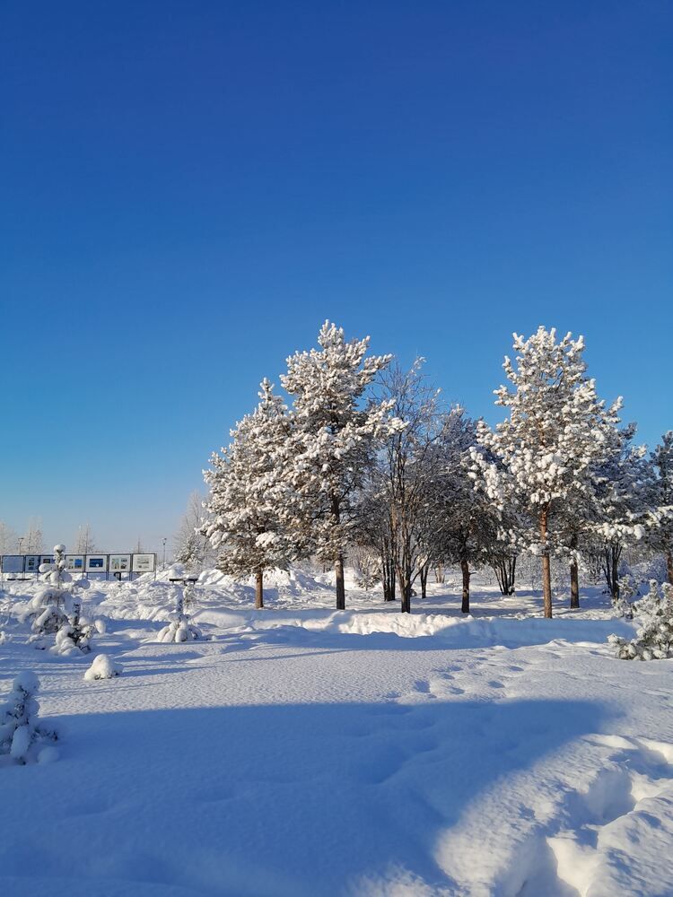 Photograph by Виталий Глазачев
