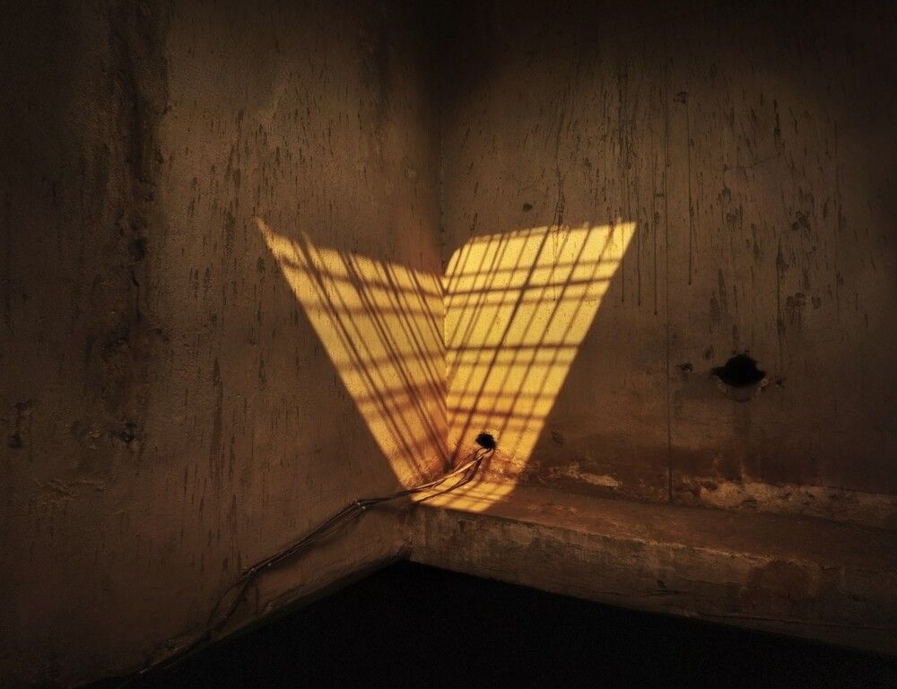 Photograph by Navya Modi