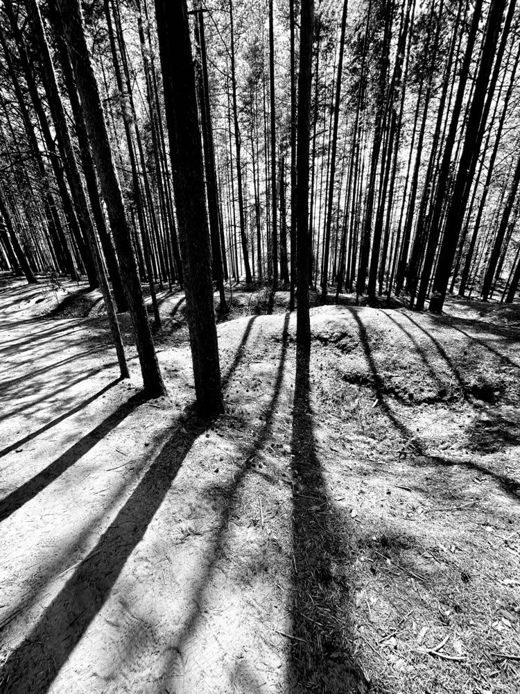 Photograph by наталья ионова