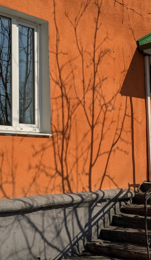 Photograph by Ольга Тимофеева