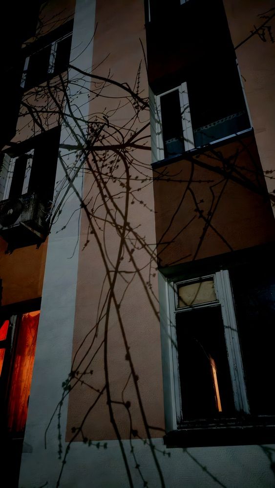 Photograph by Светлана Вергеенко