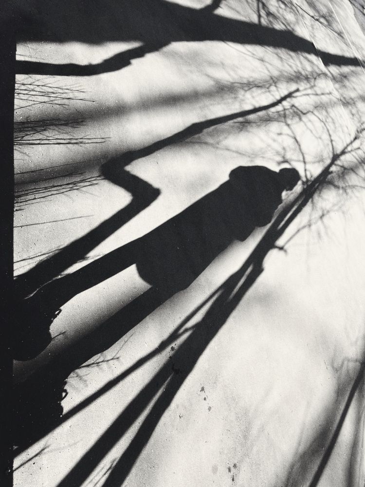 Photograph by Татьяна