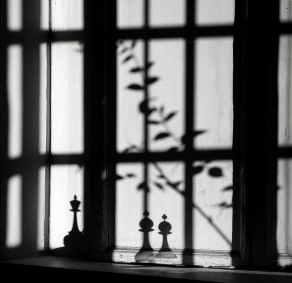 Photograph by Козлова Надежда