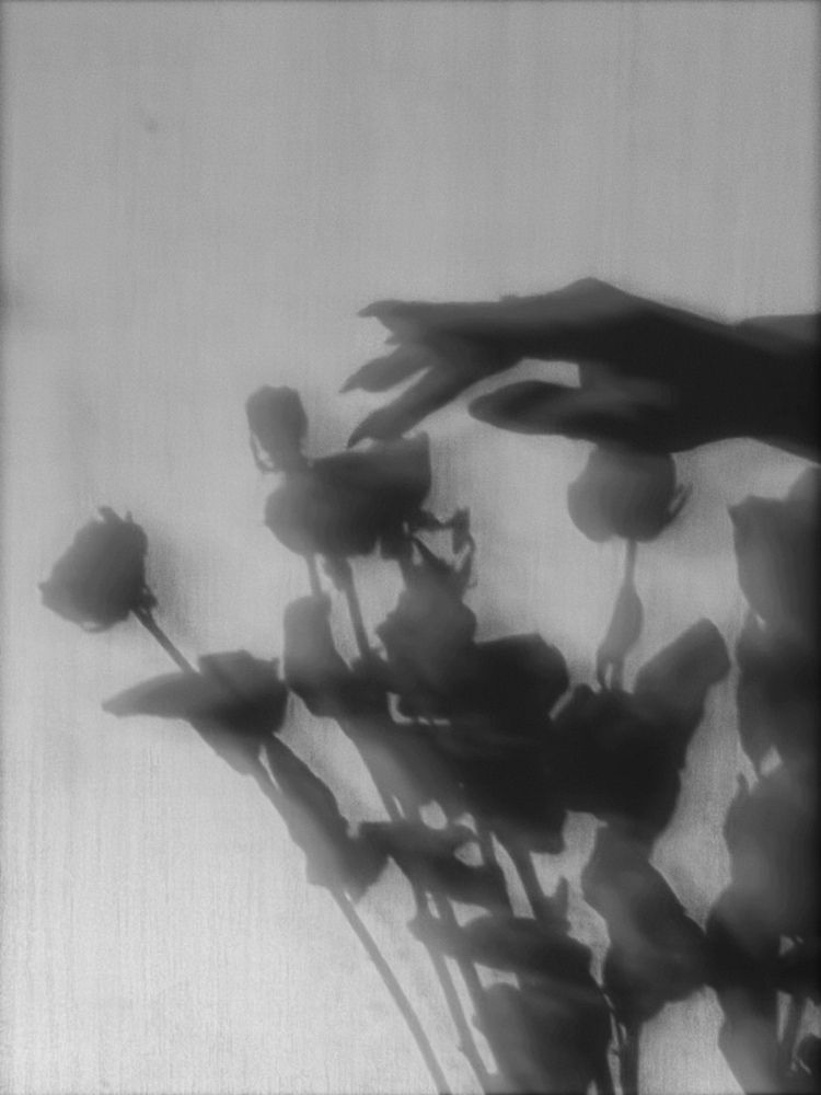 Photograph by Татьяна Цапкова
