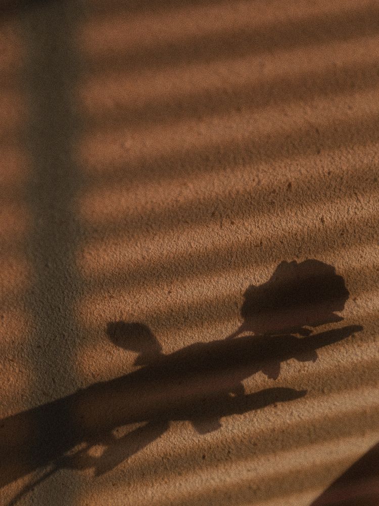 Photograph by Татьяна Цапкова