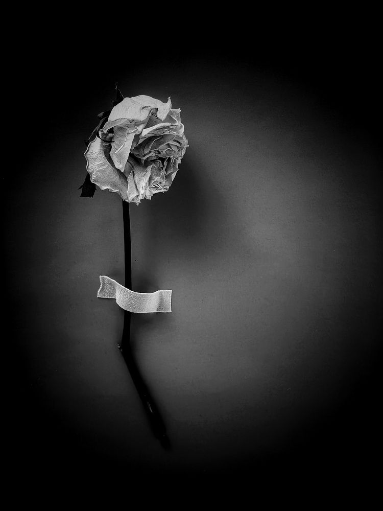 Photograph by Юлия Жереченко