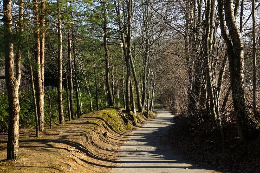 Photograph by jelena konickaja