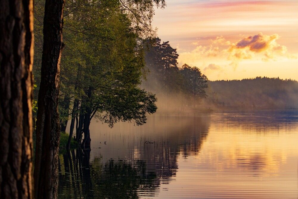 Photograph by Olya Slabada