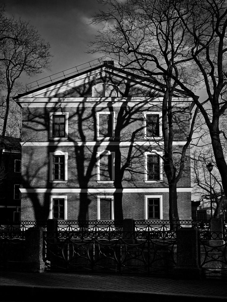 Photograph by Алёна Михайлова