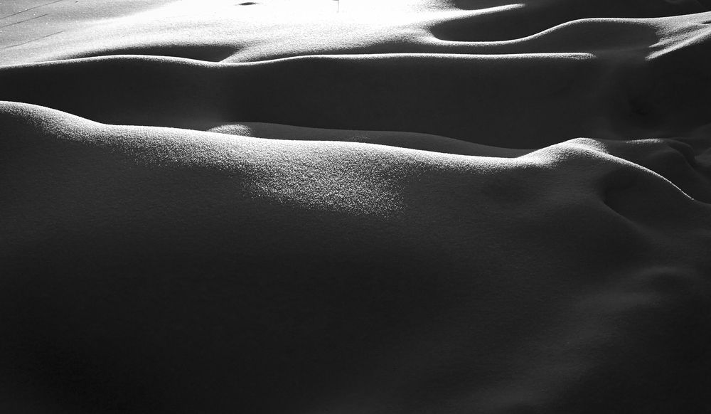 Photograph by Елена Барышева
