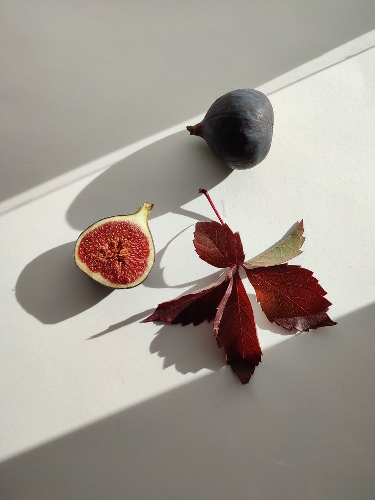 Photograph by Елена Пугачёва