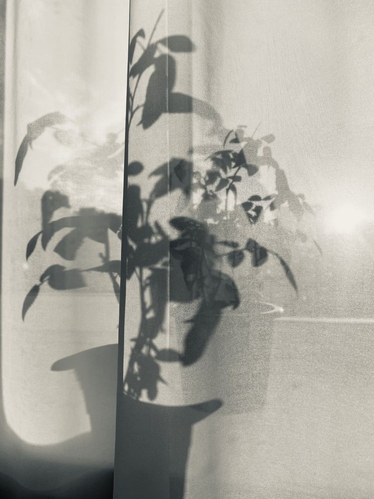 Photograph by Артем Логинов