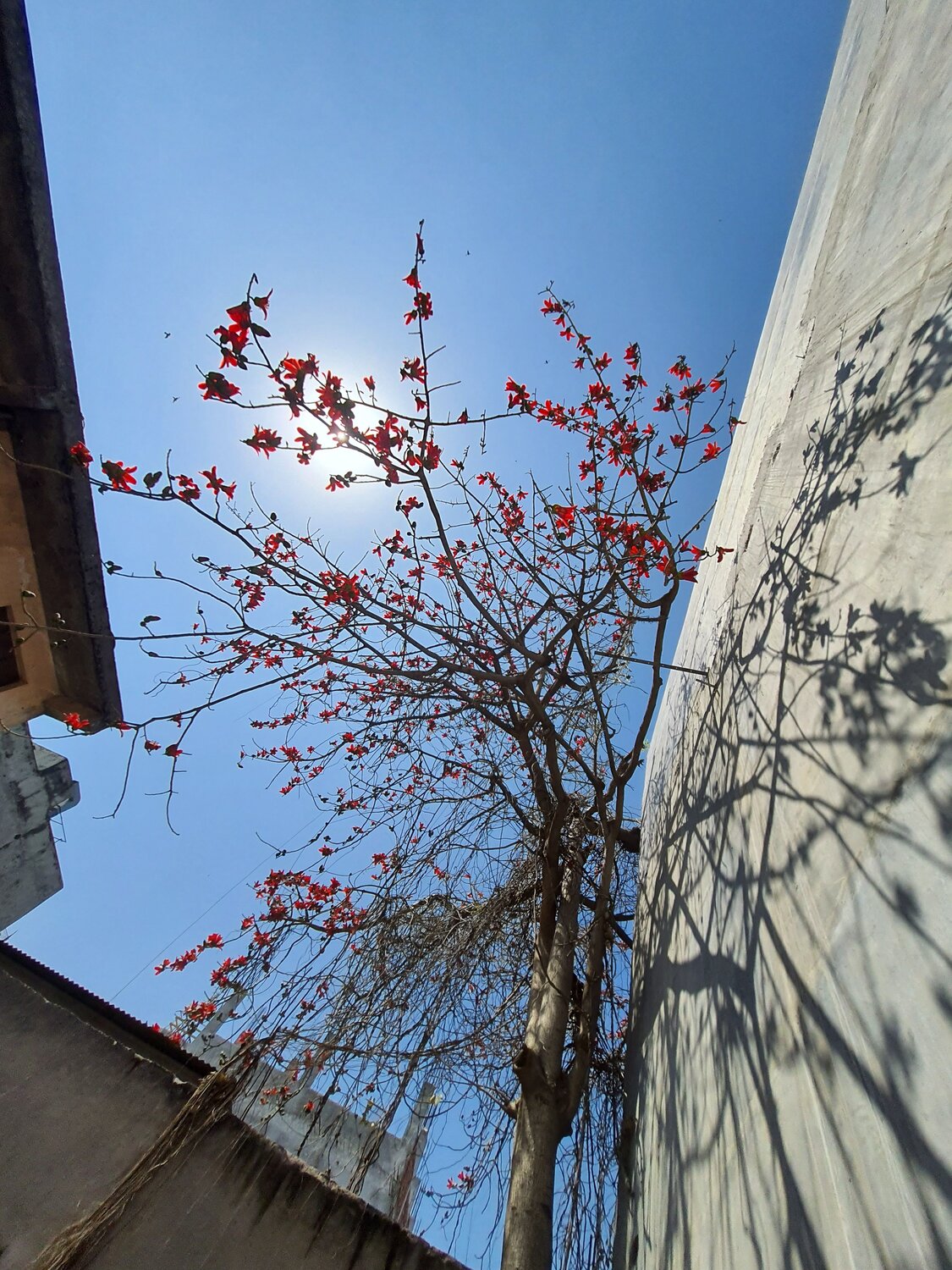 Photo #13478468