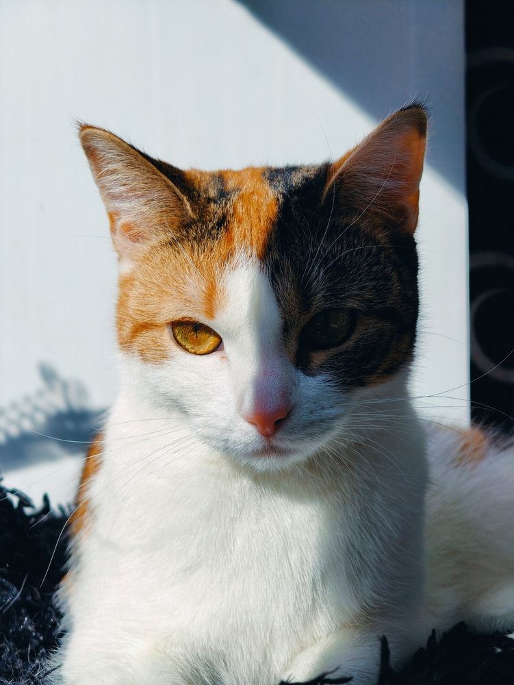 Photograph by Дарина Ворошилова