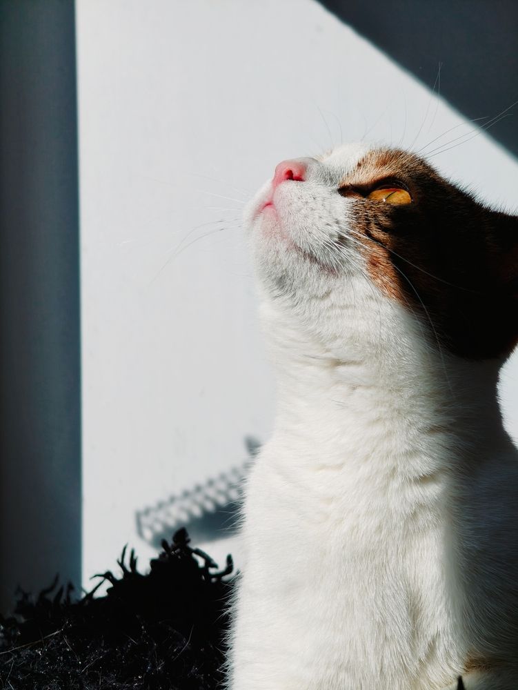 Photograph by Дарина Ворошилова