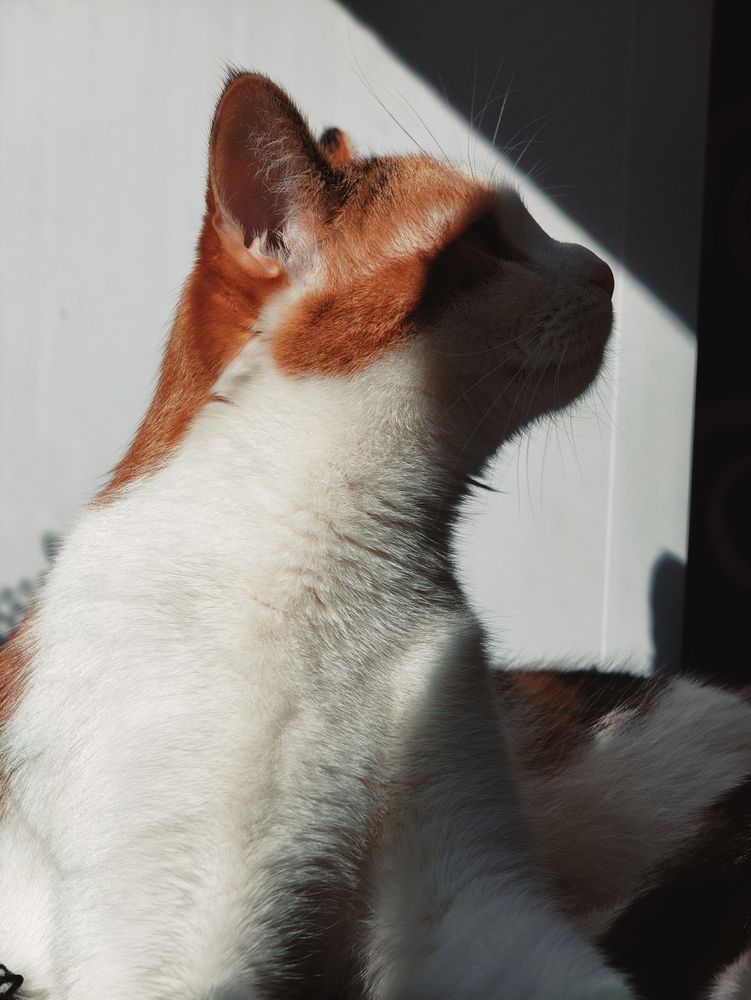 Photograph by Дарина Ворошилова