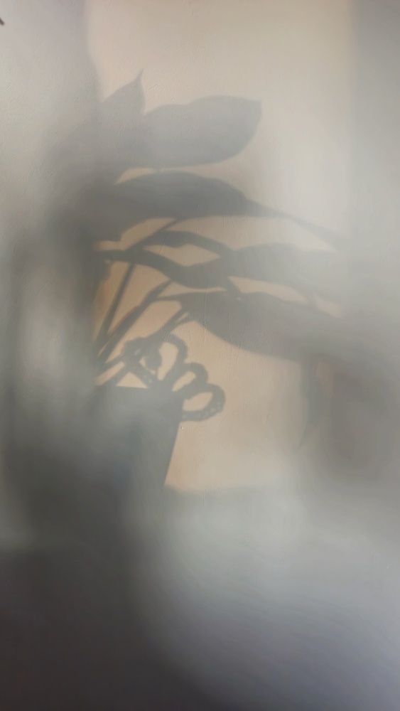 Photograph by Мария Иванова